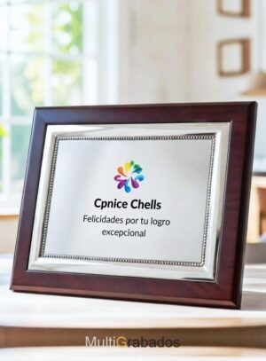 Placa de homenaje plateada modelo Marco