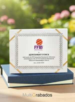 Placa de homenaje conmemorativa modelo 5151 personalizada con logotipo y texto, presentada sobre estuche azul de lujo.