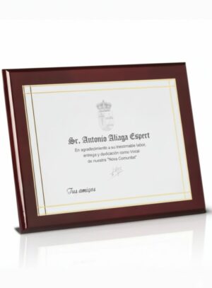 Placa de plata 4612 personalizada para homenaje