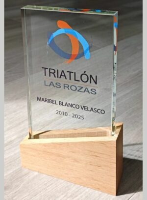 Cristal-madera-Award-2013-metopa