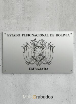 Placa de Acero Inoxidable 30x60cm.